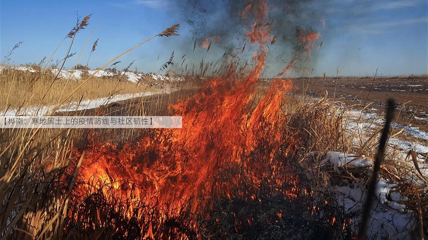 【桦南：寒地黑土上的疫情防线与社区韧性】