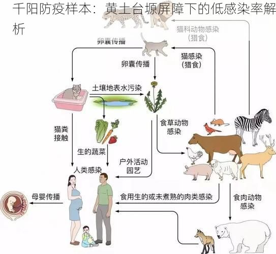 千阳防疫样本：黄土台塬屏障下的低感染率解析