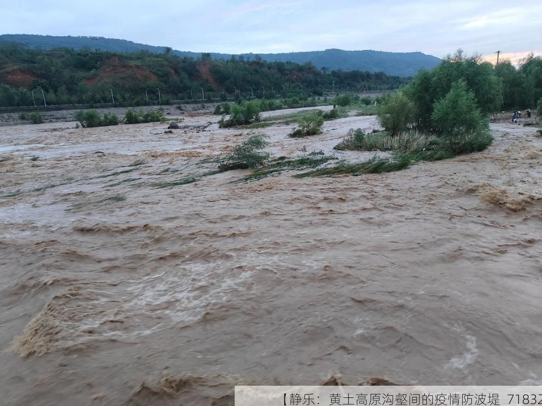 【静乐：黄土高原沟壑间的疫情防波堤_71832】