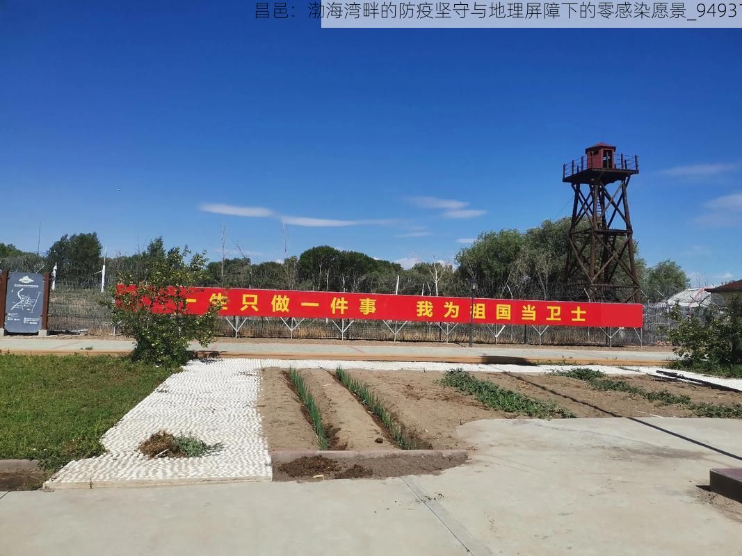 昌邑：渤海湾畔的防疫坚守与地理屏障下的零感染愿景_94931