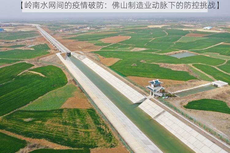 【岭南水网间的疫情破防：佛山制造业动脉下的防控挑战】