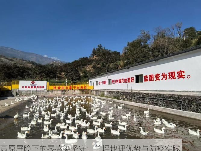 高原屏障下的零感染坚守：兰坪地理优势与防疫实践