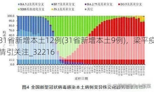 31省新增本土12例(31省新增本土9例)，梁平疫情引关注_32216