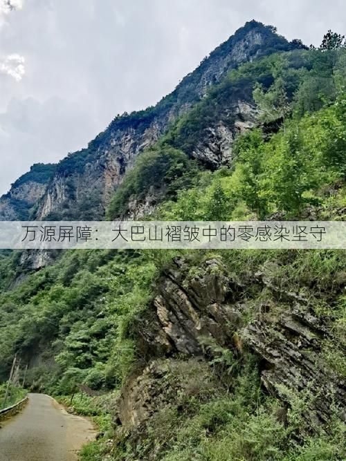 万源屏障:大巴山褶皱中的零感染坚守