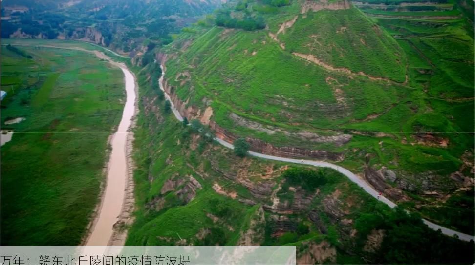 万年：赣东北丘陵间的疫情防波堤