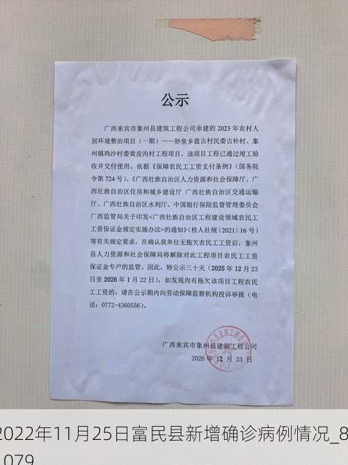 2022年11月25日富民县新增确诊病例情况_81079