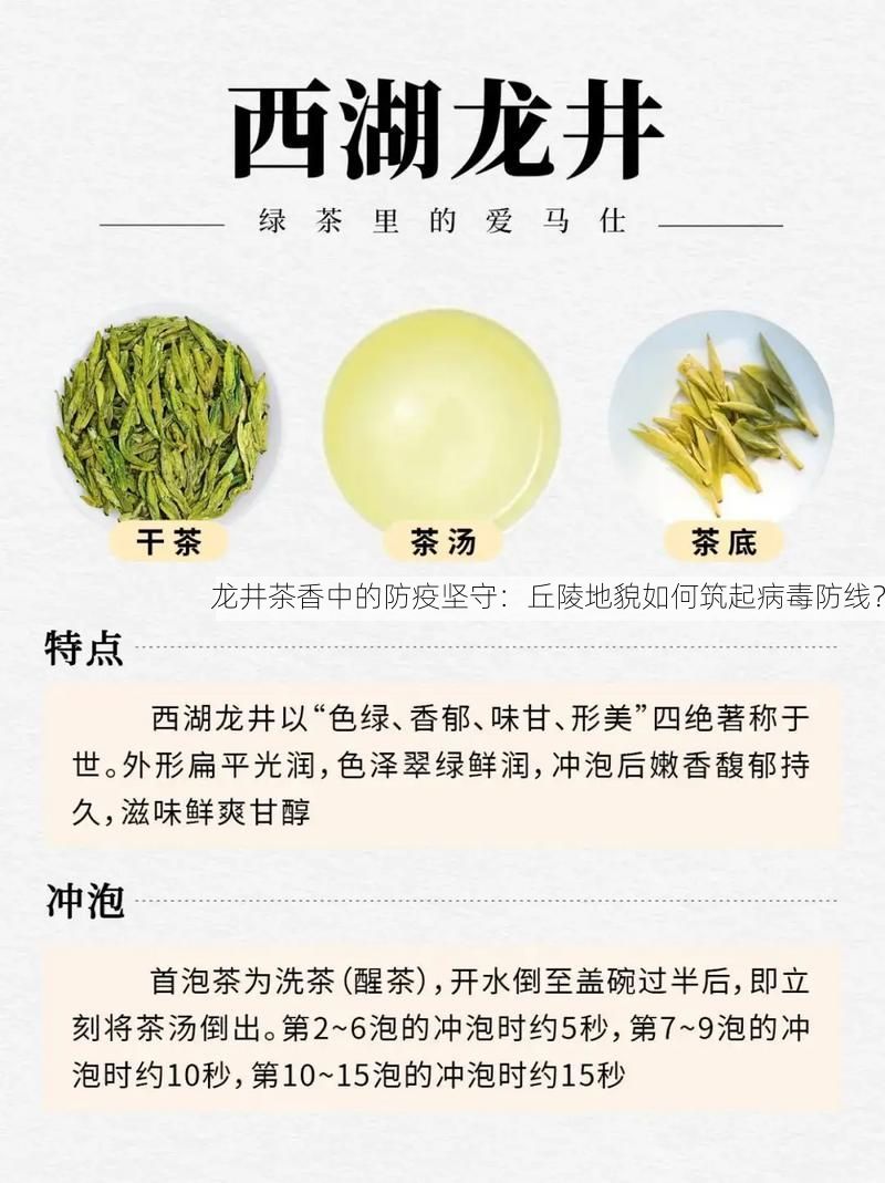 龙井茶香中的防疫坚守：丘陵地貌如何筑起病毒防线？