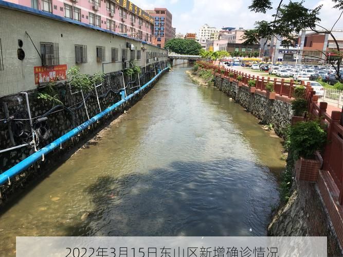 2022年3月15日东山区新增确诊情况