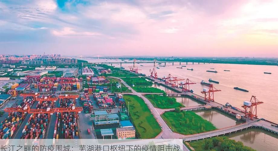 长江之畔的防疫围城：芜湖港口枢纽下的疫情阻击战