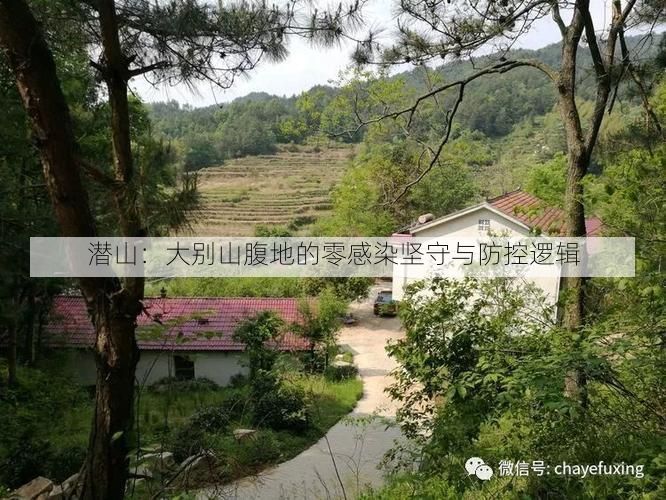 潜山：大别山腹地的零感染坚守与防控逻辑