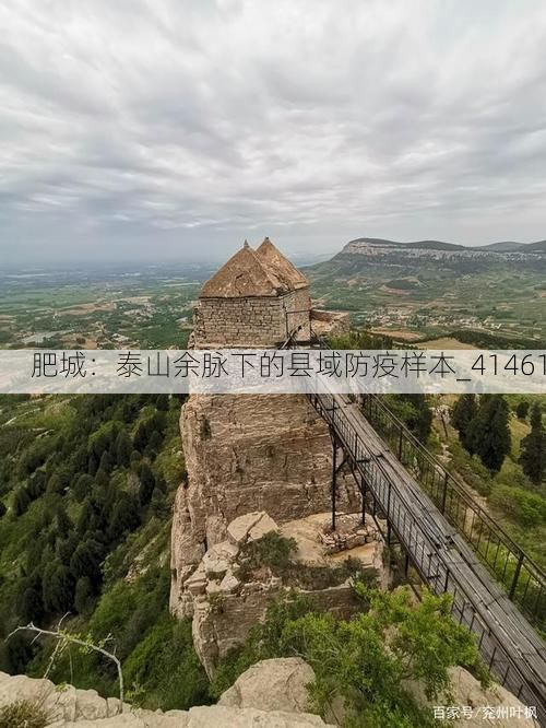 肥城:泰山余脉下的县域防疫样本_41461