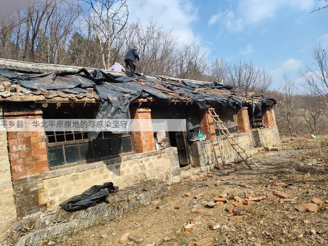 平乡县：华北平原腹地的零感染坚守