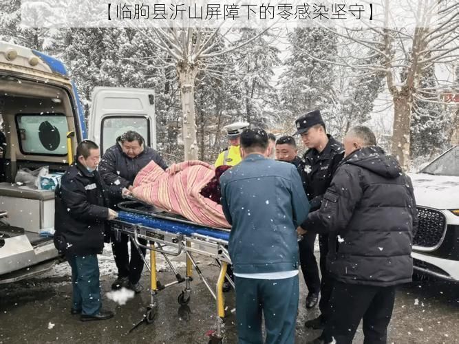 【临朐县沂山屏障下的零感染坚守】