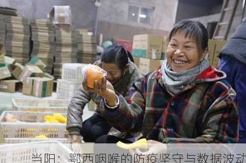当阳：鄂西咽喉的防疫坚守与数据波动