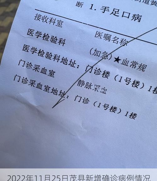 2022年11月25日茂县新增确诊病例情况