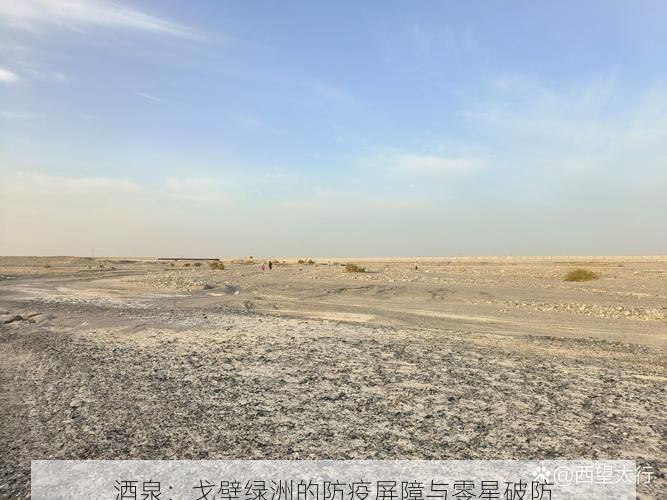 酒泉：戈壁绿洲的防疫屏障与零星破防