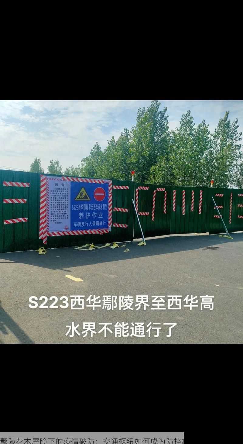 鄢陵花木屏障下的疫情破防:交通枢纽如何成为防控缺口?