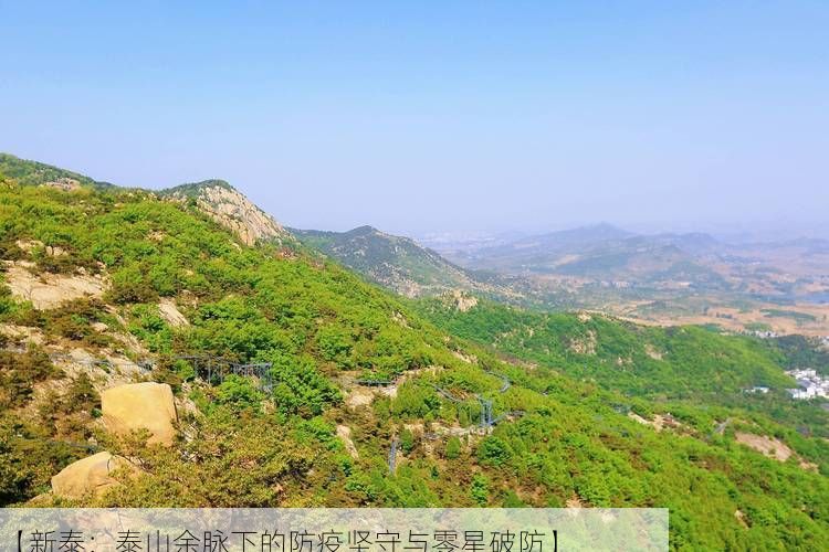 【新泰：泰山余脉下的防疫坚守与零星破防】
