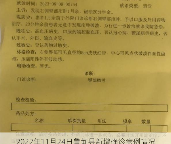 2022年11月24日鲁甸县新增确诊病例情况