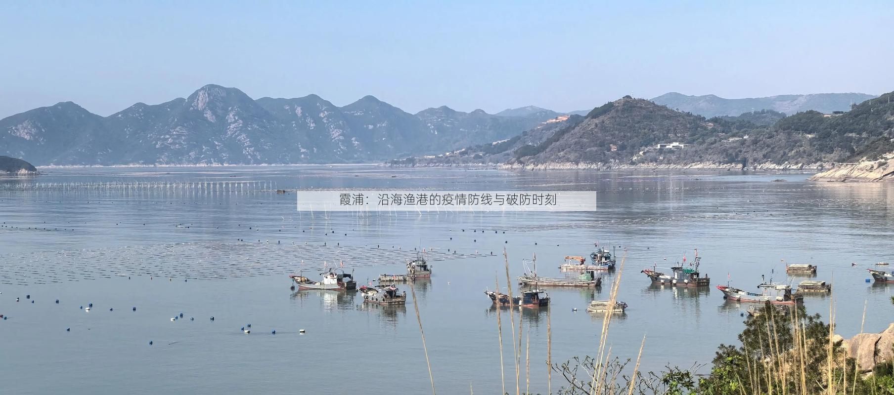 霞浦:沿海渔港的疫情防线与破防时刻