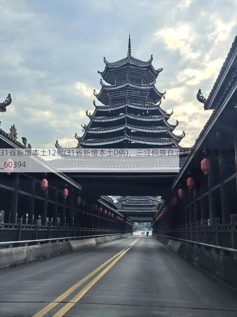 31省新增本土12例(31省新增本土0例)，三江侗族自治县突发聚集疫情！_60394
