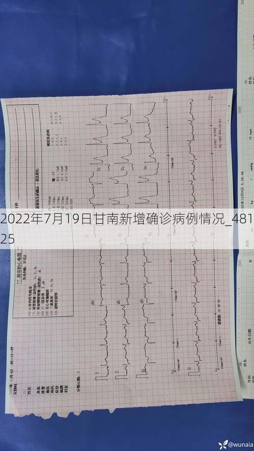2022年7月19日甘南新增确诊病例情况_48125