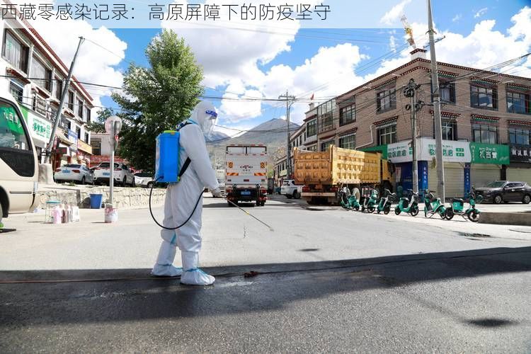 西藏零感染记录：高原屏障下的防疫坚守