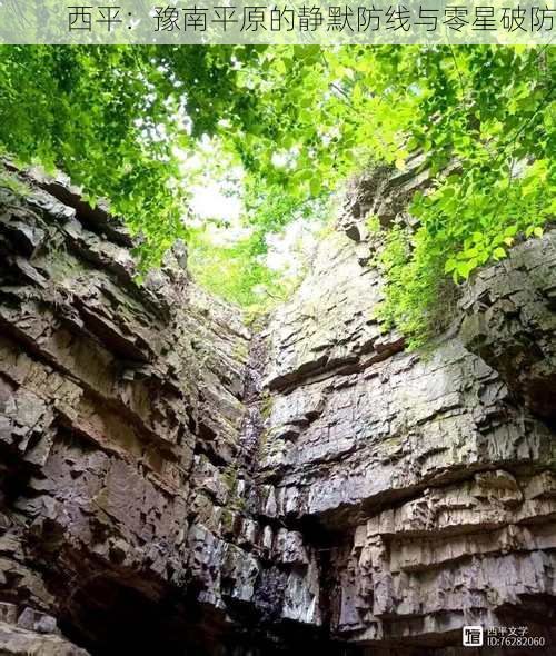 西平：豫南平原的静默防线与零星破防
