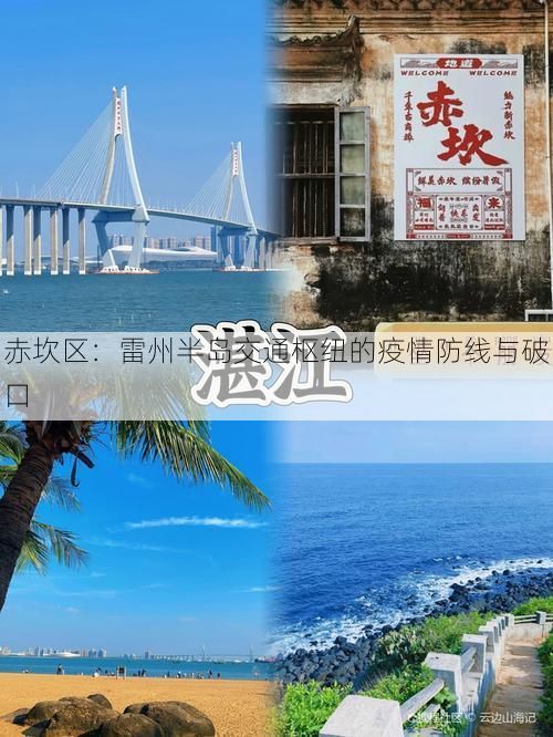 赤坎区:雷州半岛交通枢纽的疫情防线与破口