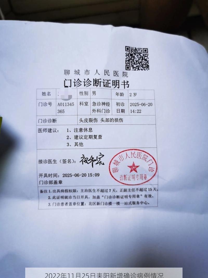 2022年11月25日耒阳新增确诊病例情况