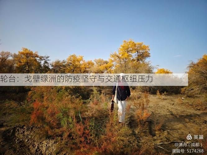轮台：戈壁绿洲的防疫坚守与交通枢纽压力