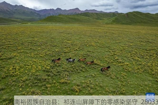 肃南裕固族自治县：祁连山屏障下的零感染坚守_28033