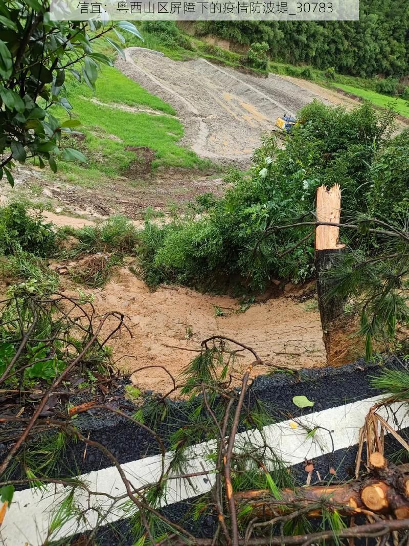 信宜：粤西山区屏障下的疫情防波堤_30783