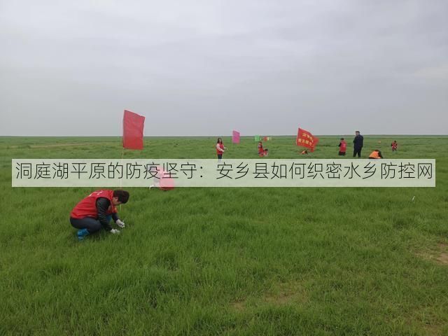 洞庭湖平原的防疫坚守：安乡县如何织密水乡防控网