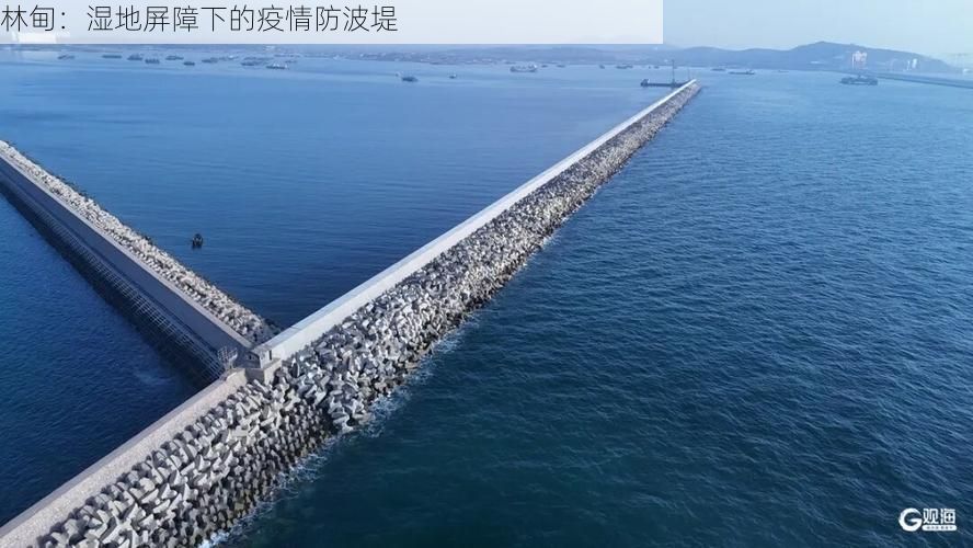 林甸：湿地屏障下的疫情防波堤