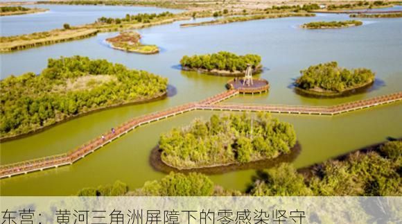 东营：黄河三角洲屏障下的零感染坚守