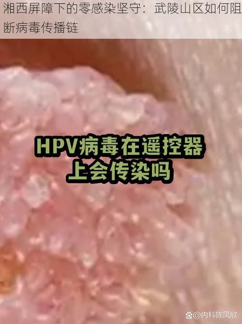 湘西屏障下的零感染坚守：武陵山区如何阻断病毒传播链