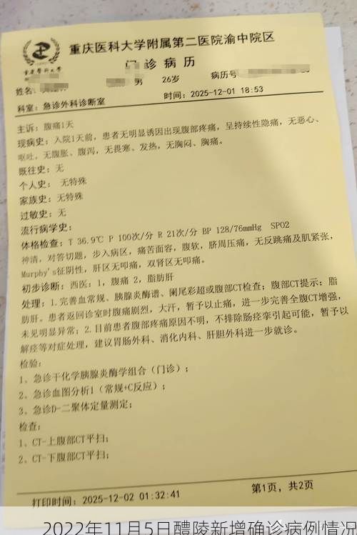 2022年11月5日醴陵新增确诊病例情况