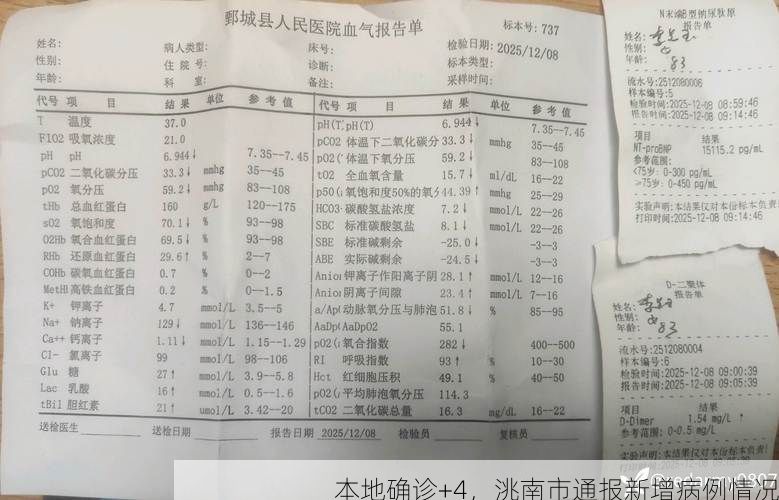 本地确诊+4,洮南市通报新增病例情况