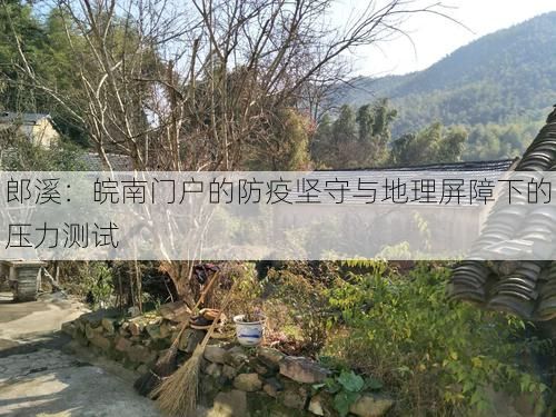 郎溪：皖南门户的防疫坚守与地理屏障下的压力测试