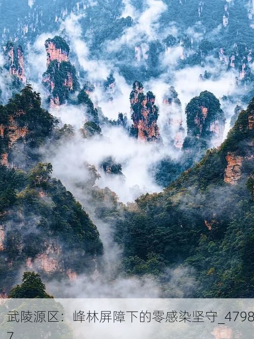 武陵源区：峰林屏障下的零感染坚守_47987