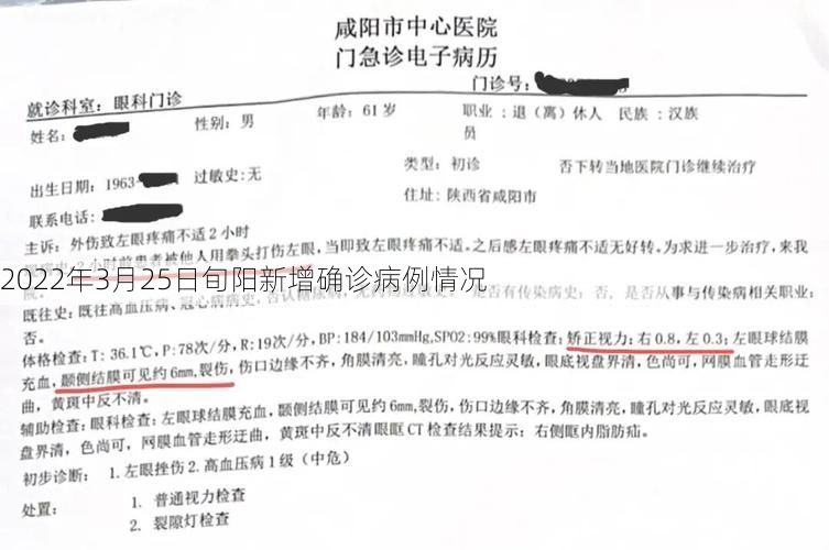 2022年3月25日旬阳新增确诊病例情况