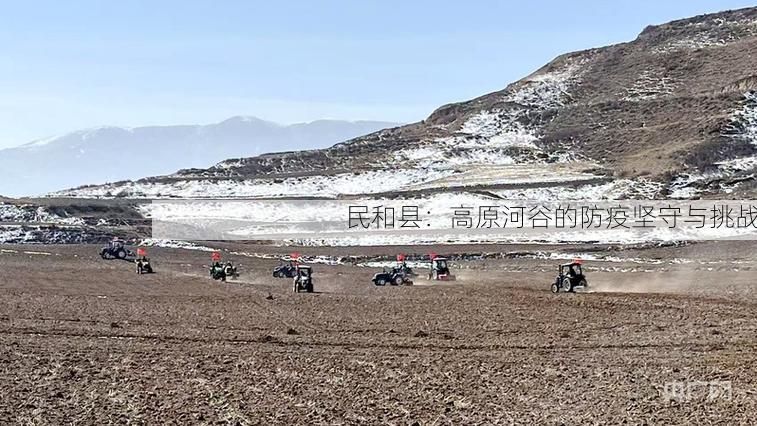 民和县：高原河谷的防疫坚守与挑战