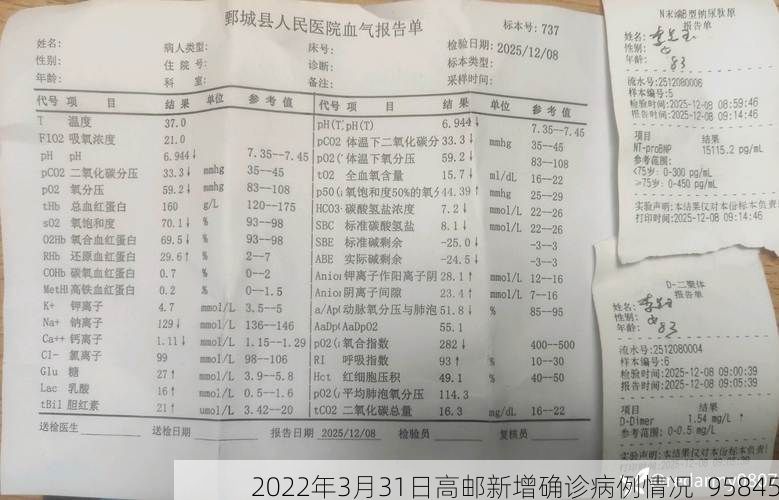 2022年3月31日高邮新增确诊病例情况_95845