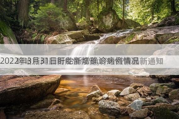 2022年3月31日盱眙新增确诊病例情况