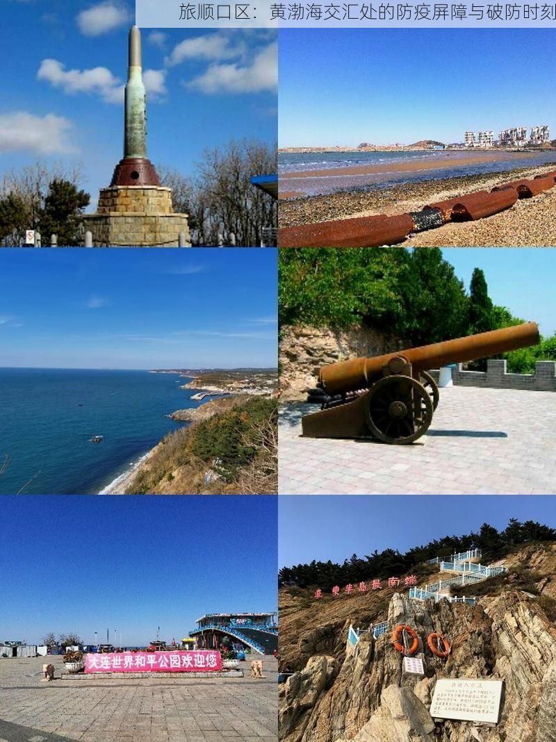 旅顺口区：黄渤海交汇处的防疫屏障与破防时刻