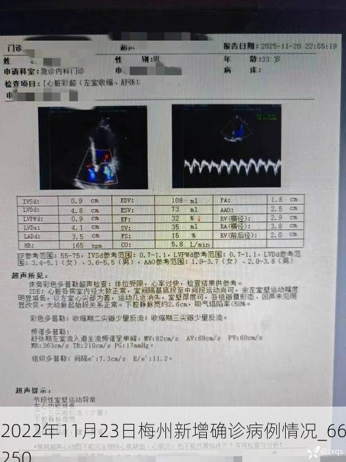 2022年11月23日梅州新增确诊病例情况_66250