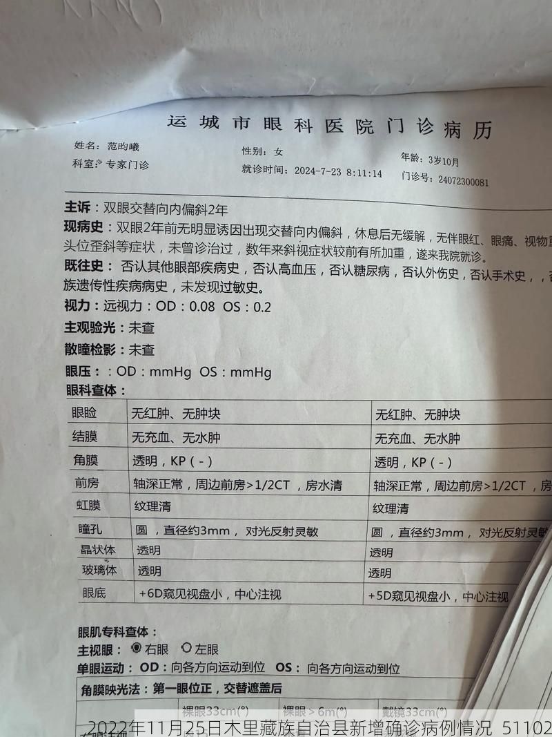 2022年11月25日木里藏族自治县新增确诊病例情况_51102