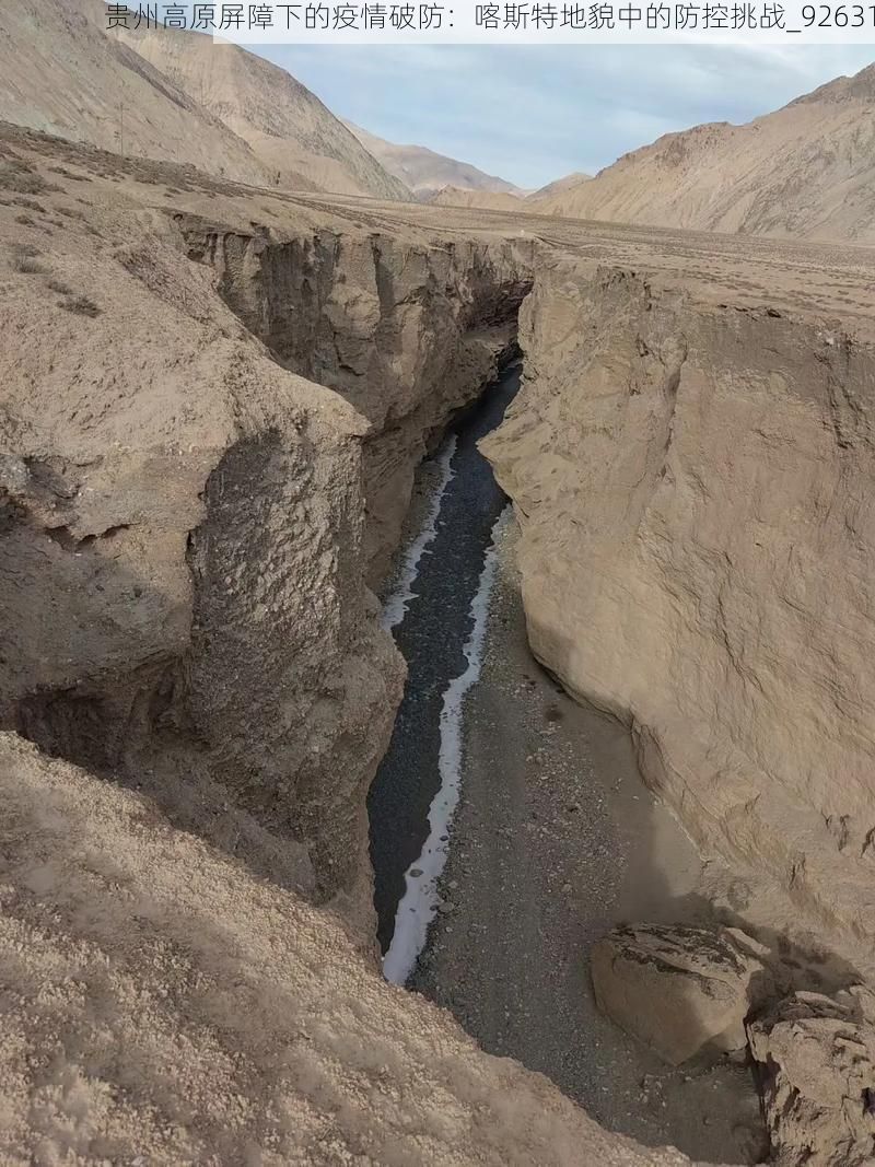 贵州高原屏障下的疫情破防:喀斯特地貌中的防控挑战_92631