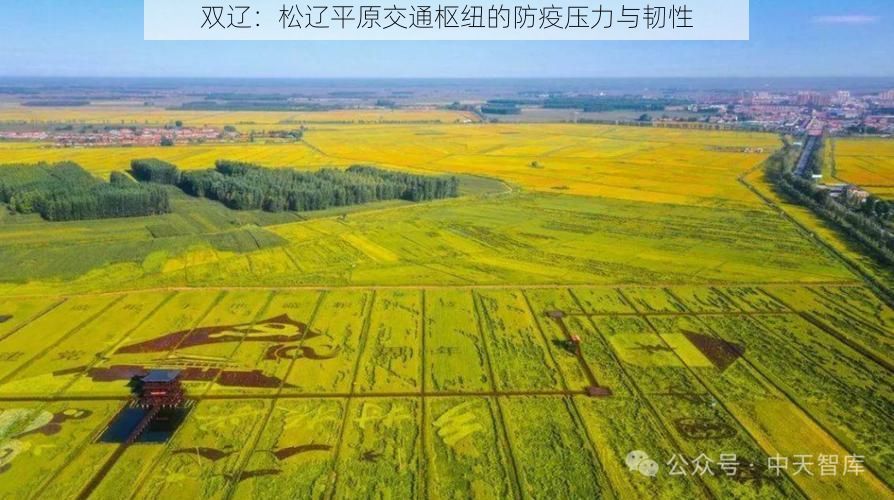 双辽：松辽平原交通枢纽的防疫压力与韧性